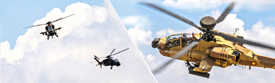 International Anatolian Phoenix 2023 Exercise