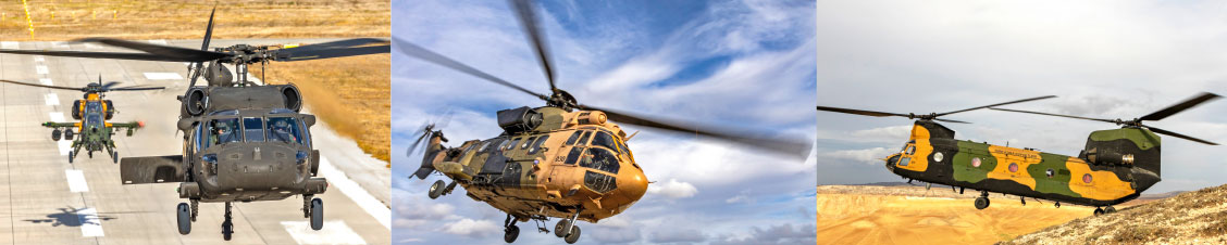 Steel-Winged Raiders of the Land Forces Command Turkish Army Aviators