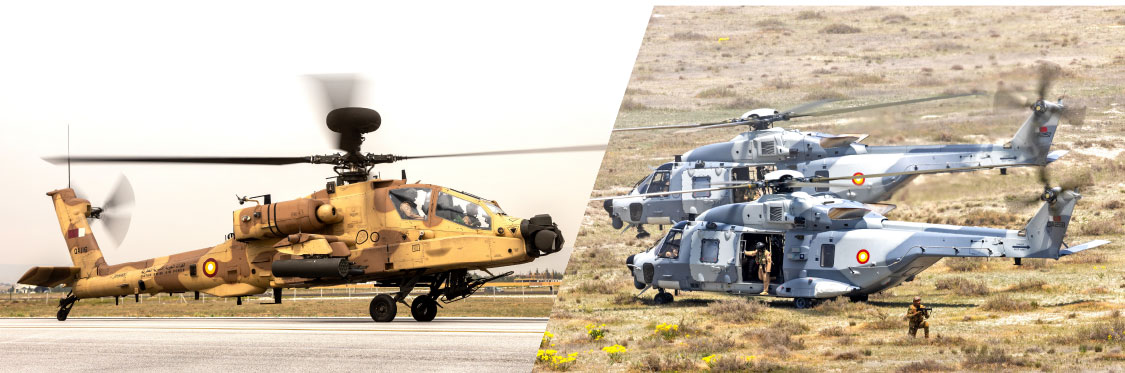 International ANATOLIAN PHOENIX Exercise