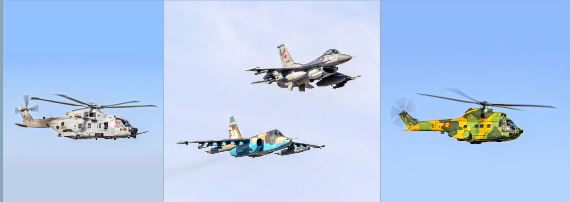 International Anatolian Phoenix